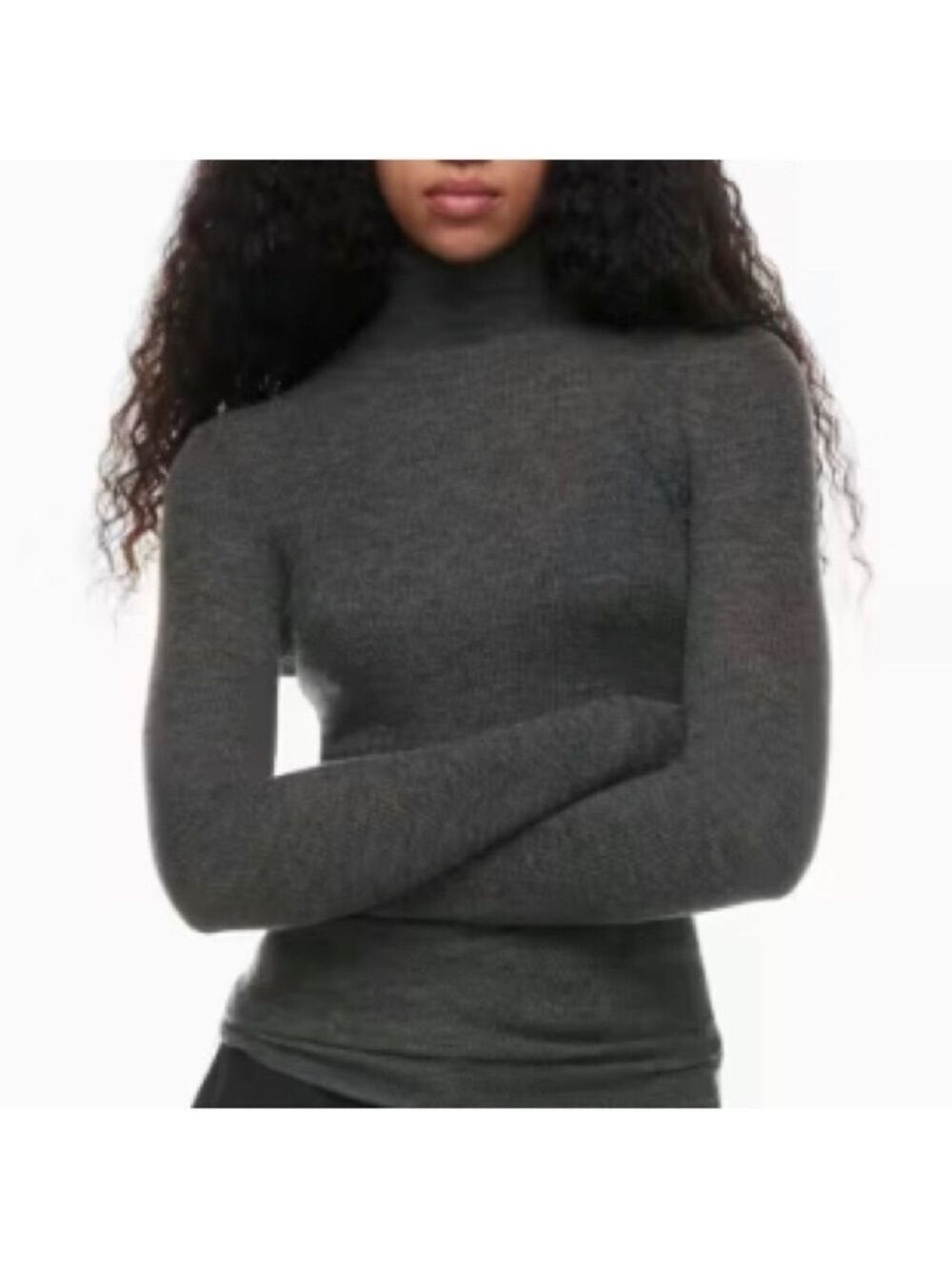 NWT Reigning Champ (owned by Aritiza) grey turtleneck. Merino wool. XS